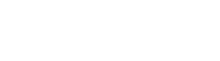 Leo Magno Operating Partners